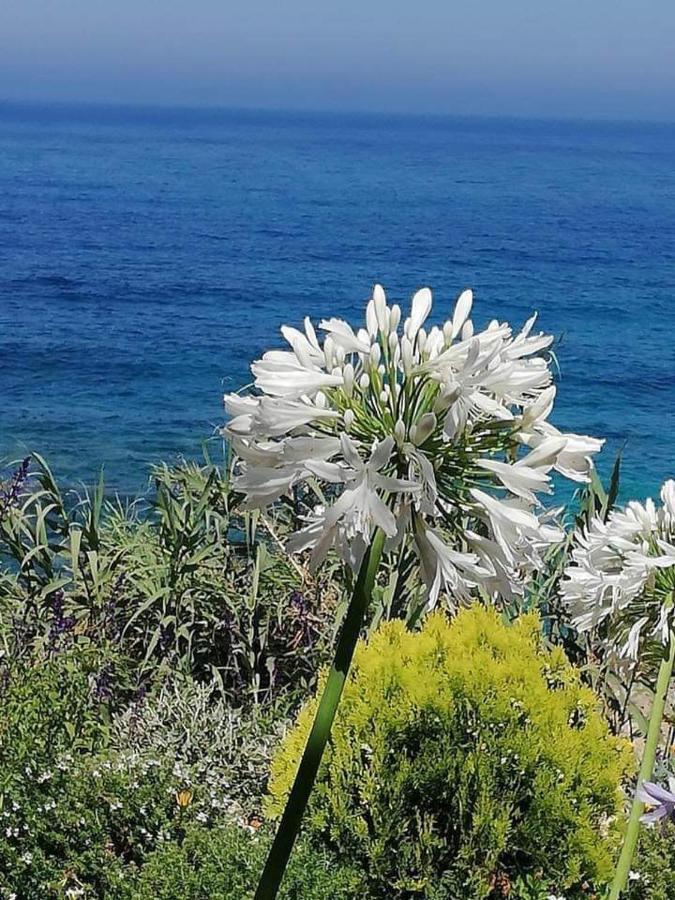 Ikaria Village Maisonette 10 Klorakas Buitenkant foto