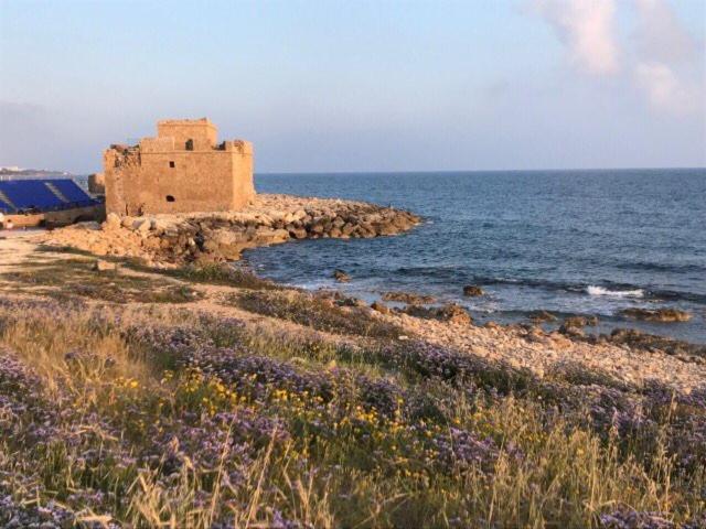 Ikaria Village Maisonette 10 Klorakas Buitenkant foto